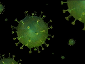 Immune System Cells Stampe: Microscopic viruses floating in an environment