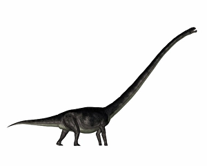 Prehistoric Animal Artwork Stampe: Omeisaurus dinosaur - 3D render