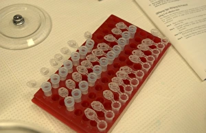 Biomedical Science Images Stampe: Rack of test tubes