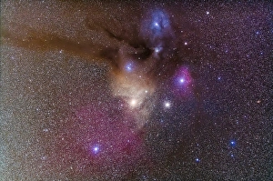 Star Formation Process Stampe: Rho Ophiuchi cloud complex