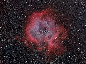 Rosette Nebula Stampe: The Rosette Nebula
