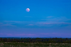 Blood Moon Photography Stampe: The total lunar eclipse of May 26