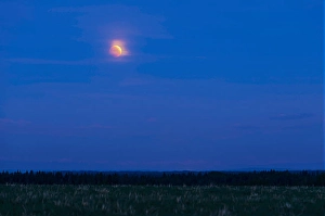 Blood Moon Photography Stampe: The total lunar eclipse of May 26