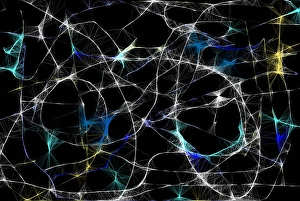 Abstract Space Art Stampe: weblike structure symbolizing time space