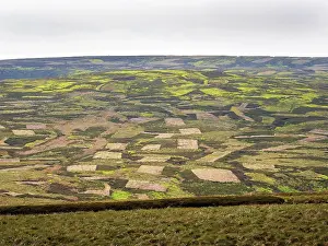 Upland Landscape Photography Stampe: View of patchwork moorland landscape