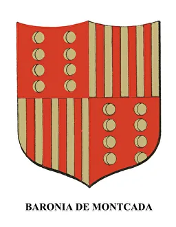 Medieval Coat Of Arms Stampe: 2687339