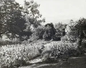 Vintage Garden Photography Stampe: 2916448