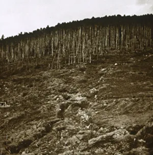 Early 20th Century Conflict Stampe: Alsace, c1914-c1918