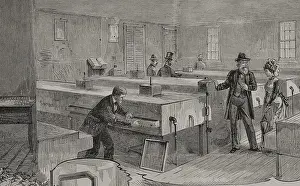 Black And White Bird Images Stampe: Artificial hatching of hen eggs by the Baker method