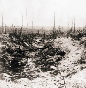 The Great War Pictures Stampe: Battlefield, c1914-c1918