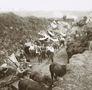 World War I Cavalry Stampe: Cavalry, c1914-c1918