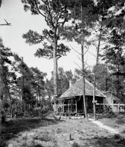 Black And White Building Exterior Stampe: Chaco Chulee, a summer cottage