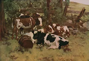Amalgamated Press Ltd Books Stampe: Contentment, c1903, (c1930). Creator: David Gauld