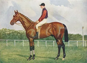 British Thoroughbred Horses Stampe: Diamond Jubilee, c1905 (c1910). Artist: Henry Powell Palfrey