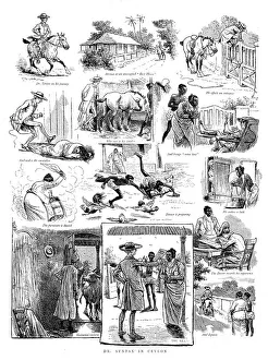 British Rural Life Stampe: Dr. Syntax in Ceylon, 1890. Creator: Unknown