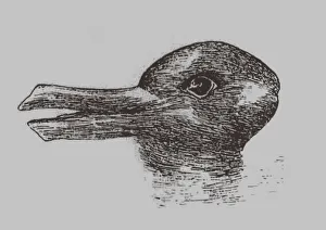 Illusione oca-rapita. Da: Jastrow, J. Locchio della mente. Popular Science Monthly, 1899. Artista: Jastrow, Joseph (1863-1944)