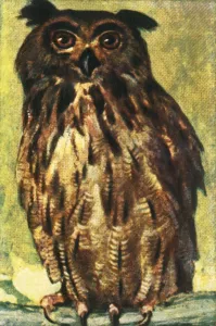 Cigarette Card Album Stampe: Eagle owl, c1928. Creator: Unknown