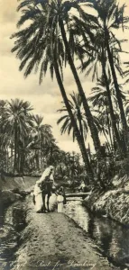 Vintage Middle East Images Stampe: Egypt - Rest for Drinking, c1918-c1939. Creator: Unknown