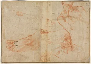 Michelangelo Buonarroti Drawings Stampe: Figure Studies for the Sistine Ceiling (verso)