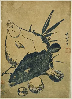 Japanese Heritage Woodblock Prints Stampe: Flatfish, scorpion fish, and shells, from an untitled series of chuban prints, Japan, c