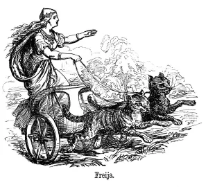 Freya (Frigg) dea dellamore nella mitologia scandinava, che guida il suo carro trainato dai gatti.