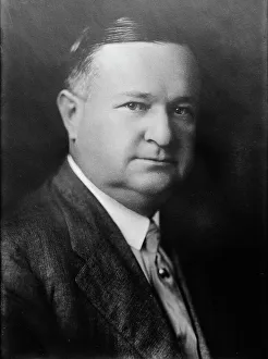 Heritage Art America Stampe: Fuller E. Callaway, between c1915 and c1920. Creator: Bain News Service