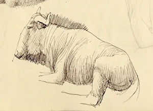 Shirley Markham Artwork Stampe: Gnu, c1951. Creator: Shirley Markham