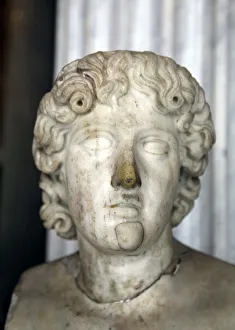 Ancient Greek Medicine Stampe: Head of Asklepios