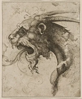Renaissance Mythology Stampe: Head of a Chimera