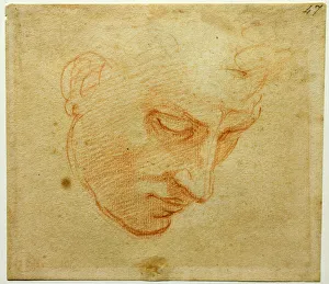 Florence Fine Art Images Stampe: Head Study to the Sistine Chapel ceiling