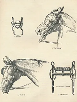 Horse Riding Equipment Stampe: Horse bits, good and bad, c1909 (c1910)