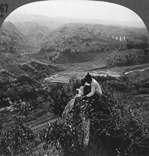 Indonesian Countryside Stampe: Java, Indonesia, c1900s