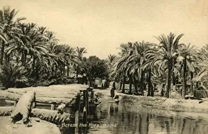 Stampe di Sullo sfondo del Kora, Basra, c1918-c1939. Da un album di cartoline Immagini datate 2019 febbraio: Sull'orizzonte del Kora, Basra, c1918-c1939. Creatore: Sconosciuto.