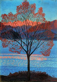 Oil On Wood Landscapes Stampe: Landscape at the First Rays of Sun