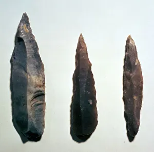 Stone Age Tools Stampe: Mesolithic Microliths