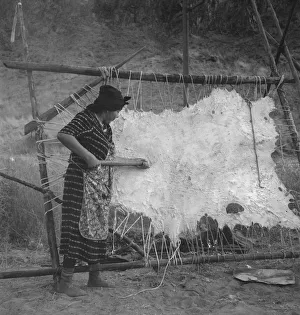 Female Artisan At Work Stampe: Method of scraping hide for softening