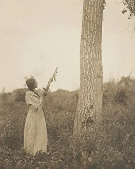 Edward Curtis Images Stampe: Offering the pipe, 1908. Creator: Edward Sheriff Curtis