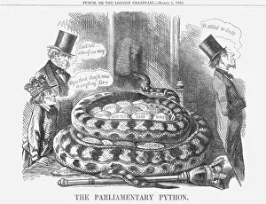 London Zoo Animals Stampe: The Parliamentary Python, 1862