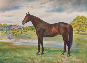 British Thoroughbred Horses Stampe: Persimmon, c1905 (c1910)
