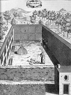 Black And White Agriculture Stampe: Pheasantry, 1775