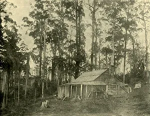 Federated Australia History Stampe: A Rustic Dwelling, 1901. Creator: Unknown