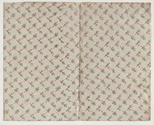 Nineteenth Century Botanical Drawings Stampe: Sheet with dot grid pattern with bouquets, 19th century. Creator: Anon
