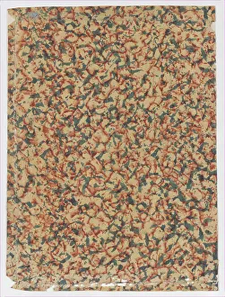 Antique Artwork Stampe: Sheet with overall splotchy pattern, 19th century. Creator: Anon