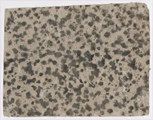 Antique Artwork Stampe: Sheet with an overall splotchy pattern, 19th century. Creator: Anon