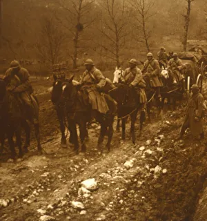 First World War Animals Stampe: Soldiers on the move, c1914-c1918
