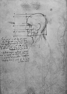 Leonardo Da Vinci Sketches Italy Stampe: Study of a Mans Nude Torso, the Head Squared for Proportion