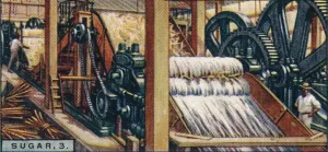 Industrial Machinery Images Stampe: Sugar, 3. Crushing the Canes, Java, 1928