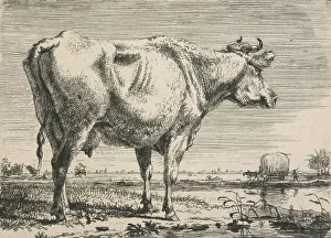 Heritage Art From The Netherlands Stampe: No title. (Cattle study.), c.1798. Creator: Pieter Gerardus van Os