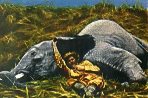 Cigarette Card Album Images Stampe: Trophy-hunter with dead elephant, c1928. Creator: Unknown