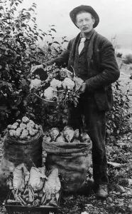 Verdure, tra c1900 e c1930. Creatore: Sconosciuto.